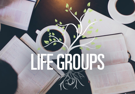 LifeGroups